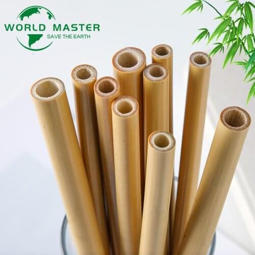 10 Pcs Natural Bamboo Straws Environmentally Friendly Sustainable Bamboo Straws Reusable Straws With Straw Cleaner And Paper Box