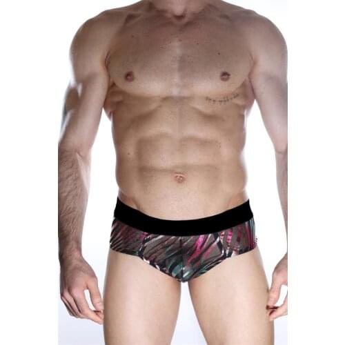 Male Fancy Mini Boxer