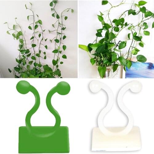 Invisible Wall Rattan Clamp Clip Invisible Wall Vine Climbing Sticky Hook Rattan Fixed Clip Bracket Plant Stent Supports 2 color