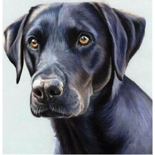 5D diamond painting embroidery heaven dogs full drill square/round Rhinestones diamond mosaic Cross stitch gif