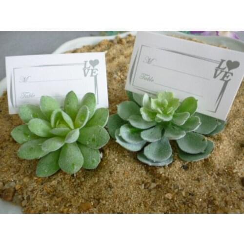Succulent Place Card Holder 20pcs office table decoration Party decoration