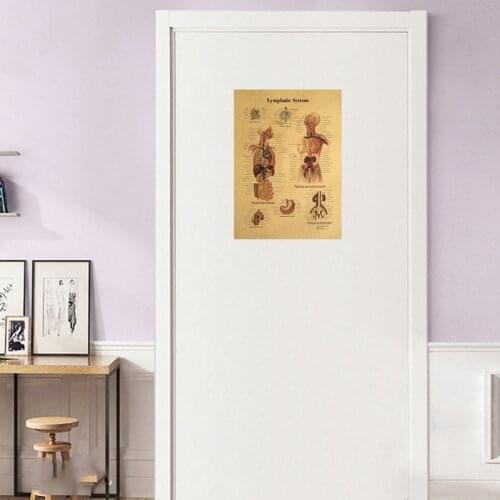 Human Body Interpretation Diagram-Lymphatic System Posters And Prints Paper Living Bedroom Bar Room Retro Poster Stickers Decor