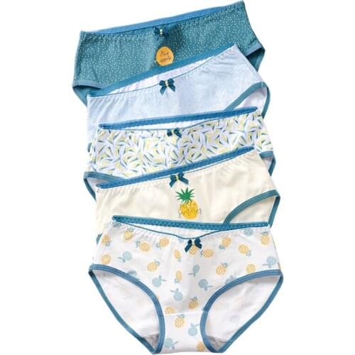 ZJX 5Pcs/lot Cotton Womens Panties Sexy Seamless Underwear Breathable Briefs Comfort Cute Bow Girls Soft Female Lingerie XXL