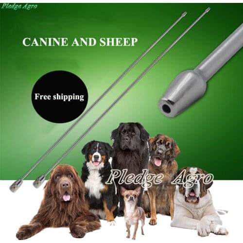 Dog Canine Artificial Insemination Needles Syringe Needle Equipment Station Clinc Pet Pets My Orders Perro Dogs Perros Sheep
