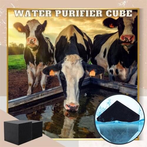 Water Purifier Cubes Activate Carbon High-Efficiency Water Purification Filter for Water Aquarium Fish Tank GQ