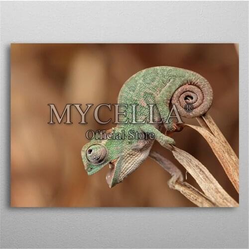 5D Diy Diamond Painting Baby chameleon Diamond Embroidery Full Diamond Mosaic Animals Pictures Rhinestones Home Decor Craft Kits