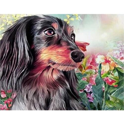 Professor Dachshund Diamond Embroidery pet dog full square round drill Diy 5D diamond painting rhinestone mosaic decorZP-2172