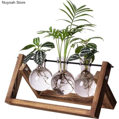 Transparent Glass Vase Hydroponic Modern Minimalist Plant Glass Container Flower Amount Living Room Home Decoration Accessories