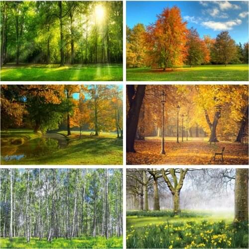 Laeacco Green Grass Tree Morning Sunshine Forest Park Natural Scenic Photo Backgrounds Photographic Backdrops For Photo Studio