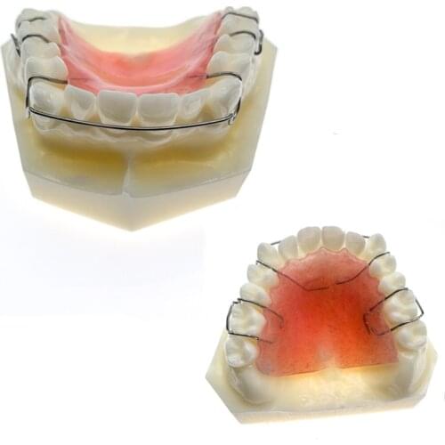 Dental Teeth Study Teach Model Hawley Retainer Model Dental Material 3007 01