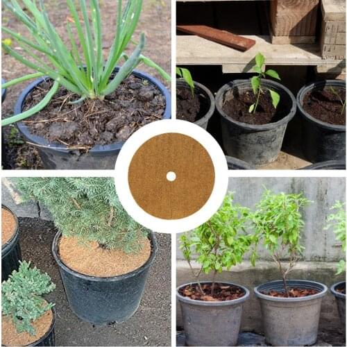 10PCS Coconut Palm Mat Coir Fiber Liner Round Coconut Natural Coconut Fibers Disc Coir Weed Control Rings Brown Flat Mat