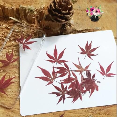 60pcs Red Pressed Dried Maple Leaf Leaves Plant Herbarium For Jewelry Pendant Ring Earrings Flower Making Accessories