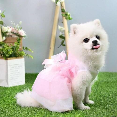 Cute Dog Cupcake Dress Princess Dress Flowers Pearls Comfortable Dog Dress Skirt Pink Lace Designs Puppy Dog Accessories