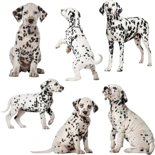 Three Ratels QC388 HD pixel cute Dalmatians Waterproof dog sticker Vinyl auto Wrap for car hood laptop home decoration decals