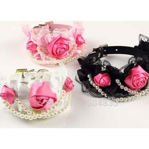 Первый питомец SweetDog China At AliExpress