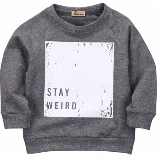 Long Sleeve Boy Girls Toddler Kids Clothes Autumn Sweatshirt Hoodies Cotton Pullover Tops New 1-4Y