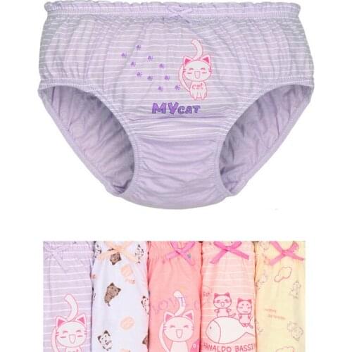 5Pcs/1lot Kids Girls Underwear Baby Cartoon Panties 2020 New Infant Cotton Underpants Character Printed Briefs 3-14Y KU31
