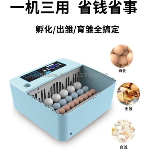 Incubator Small Household Incubator Automatic Intelligent Water Bed Incubator Automatic Household Mini Children