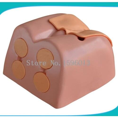 Prostate Examination Simulator