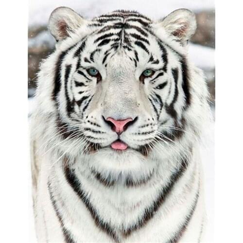 RUOPOTY Frame Paint By Numbers Falling autumn DIY Painting Handpainted On Cavans For Home Decor Wall Artwork by numers