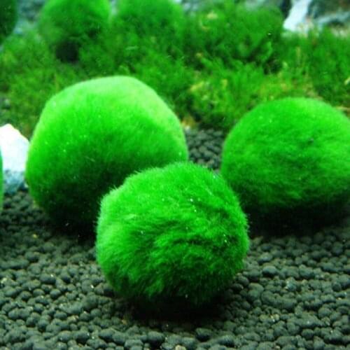 Artificial Moss Ball Fish Tank Aquarium Decor Ornament 2.5-4.5cm Natural PlantsRetailsale
