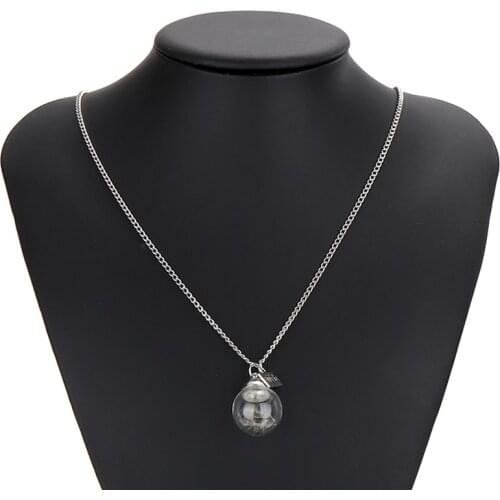 New Fashion Natural Dandelion Necklace Seeds In Glass Bottle Chain Elegant Pendant Charms Jewelry For Women Birthday Gifts