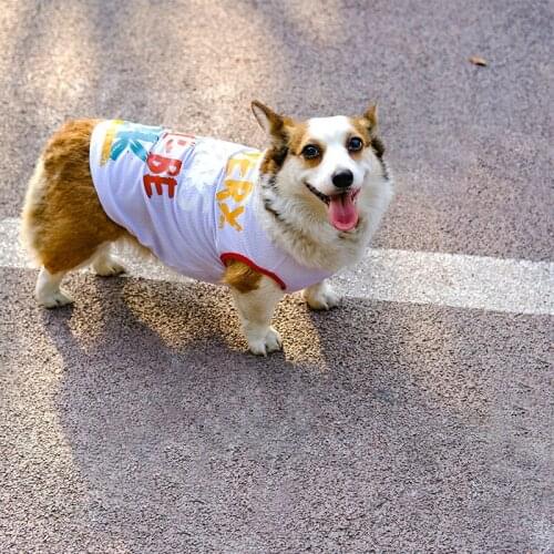 Mesh Dog Vest Summer Pet Dog Clothes Poodle Bichon Schnauzer Pug French Bulldog Welsh Corgi Clothing Samoyed Dog Costumes Shirt