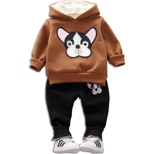 Childrens Casual Suit 2020 Autumn Winter New Boys Plus Velvet Puppy Cartoon Hooded Sweatshirt Trousers 2pcs Baby Boys Clothing