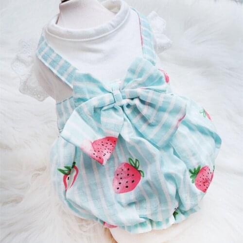 Cute Strawberry Cat Dog Dress Summer Pet Clothes Corgi Puppy Skirt Pomeranian Schnauzer Poodle Bichon Clothing Dropshipping 2021