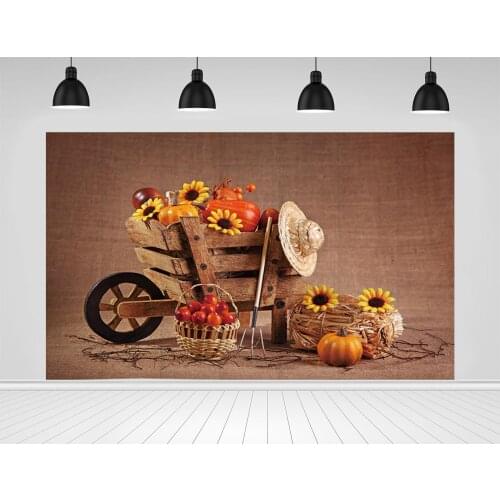 Scopiso Photographic Background Trolley Pumpkin Autumn Fall Decoration Cute Little Baby Photography Backdrops Photo Studio Props