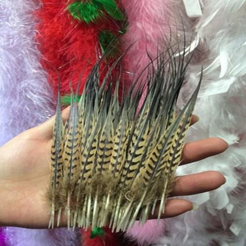 10 pcs Rare Beautiful Feathers 5-8 inches / 12-20 cm The celebration decoration