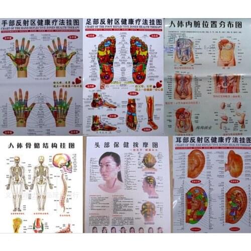 Free shipping 10 pcs Scrapping healthcare human acupuncture wall chart diagram foot hand head ear acupuncture meridian chart