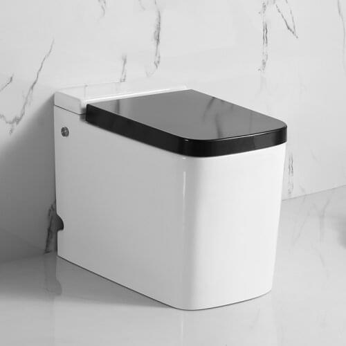 KASG DV9010T Bathroom Tankless Electric automatic intelligent Toilet