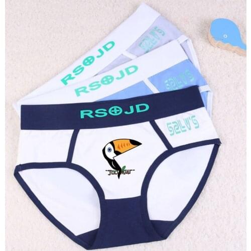 New Women panties Boyshorts Girl safety shorts Ladies Safety Pants female Underwear Women Panties underpants ladies boxer briefs