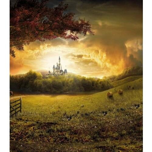 Castle fairyland backgrounds photography fotografia fabric sunset baby photo backdrops for photo studio kits photophone CM-6755