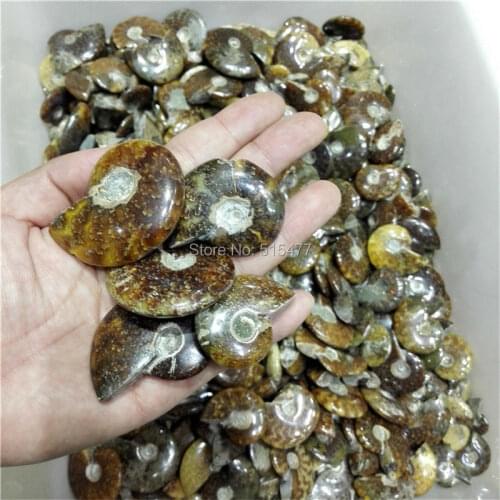 3.52lb NATURAL fossil ammonite flash high quality MADAGASCAR free shipping