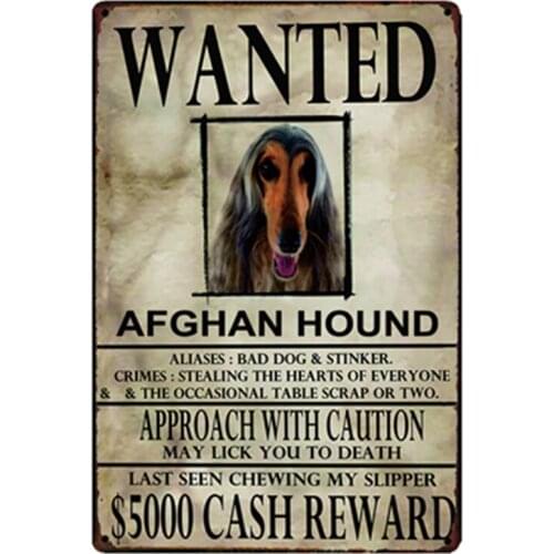 [ Kelly66 ] Afghan Hound Dogs Wanied Metal Sign Tin Poster Home Decor Bar Wall Art Painting 20*30 CM Size y-2081
