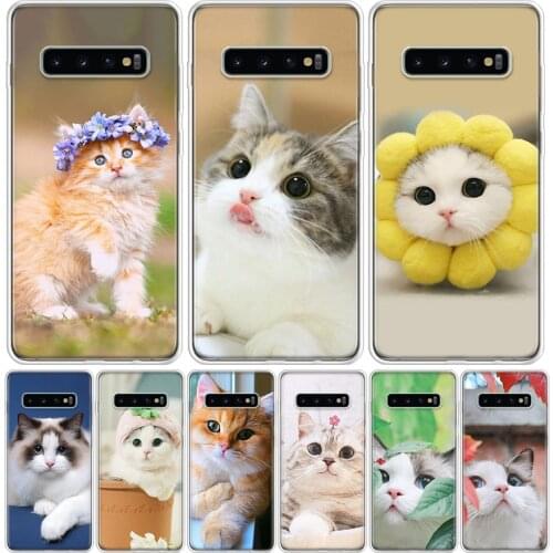 Cute pet cats Phone Case for Samsung Galaxy A51 A71 A50 A70 A40 A30 A20E A10 A01 A21 A41 M30S A6 A7 A8 A9 Plus + Cover