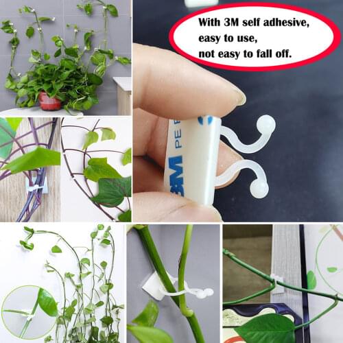 Plant Climbing Wall Self-Adhesive Fastener Tied Fixture Vine Buckle Hook Garden Vine Clips Fixed Buckle Hook Plant Support Clips