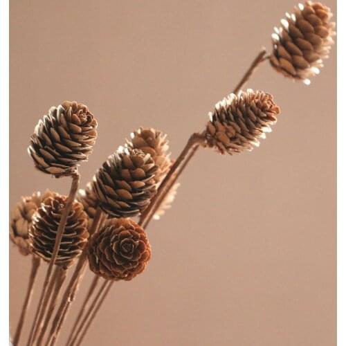 10Pcs/40x3cm Natural Preserved Pine Cones Iron Branch High Quality Handmade For Photograph Home Desktop Office Garden Decoration