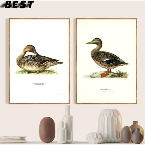 Mallard Duck Vintage Birds Prints Farmhouse Wall Art Canvas Painting Nature Bird Poster Wall Pictures Kitchen Living Room Decor