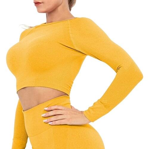 Miss Moly Women's Long T-shirts China