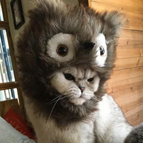 Breathable Accessory Festival Birthday Theme Party Pet Hat for Family