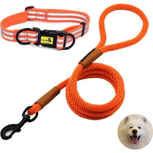 Dog Collar and Leash Set Adjustable Waterproof Dog Collars Reflective Designer Puppy Strip Leads Rope for Small Medium Large Dog