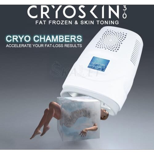 Free Delivery Mini Portable Fat Cryo Freezing Machine for Body Slimming Weight Fat Loss Home Use