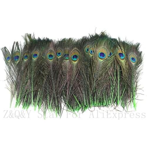 20 natural peacock feathers dyed fruit green for craft decoration 25-30 cm (10-12 inches) Diy jewelry feather vase accessory
