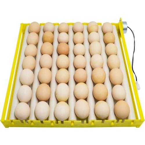 Egg Incubators,42/56 Egg Fully Automatic Poultry Hatcher Machine Breeder with Auto Turning for Hatching Chicken Duck Goose Quail