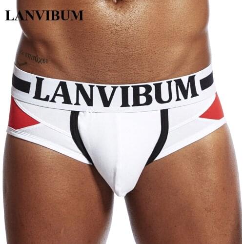 Lanvibum men underwear breathable elastic cotton sexy underwear men briefs underpants sexy homme male shorts