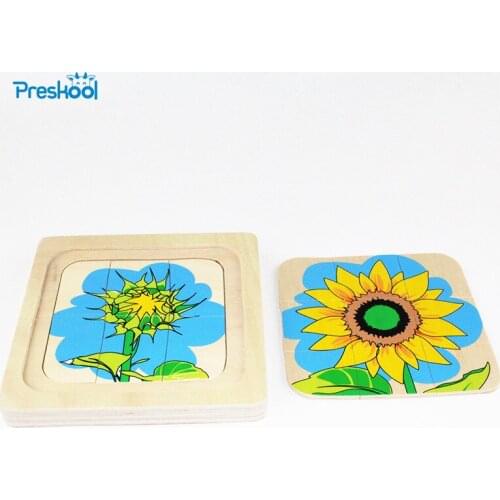 Montessori Kids Baby Toy Infant Toddler Life Cycle of Sunflower Puzzles Jingsaw Preschool Brinquedos Juguets