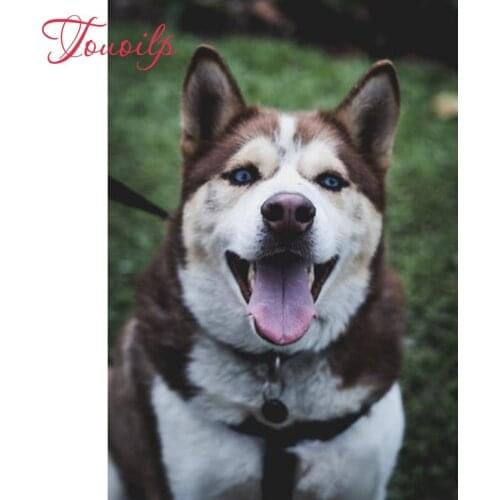 5D spuare & round Flower dog diamond painting cross stitch diamond embroidery set needlework Husky diamond painting